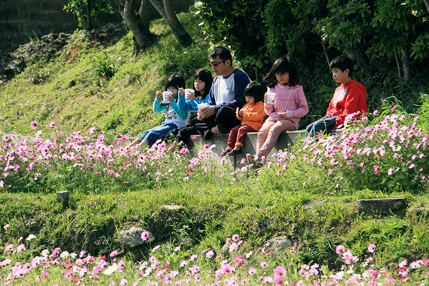 「お花見の楽しみ」