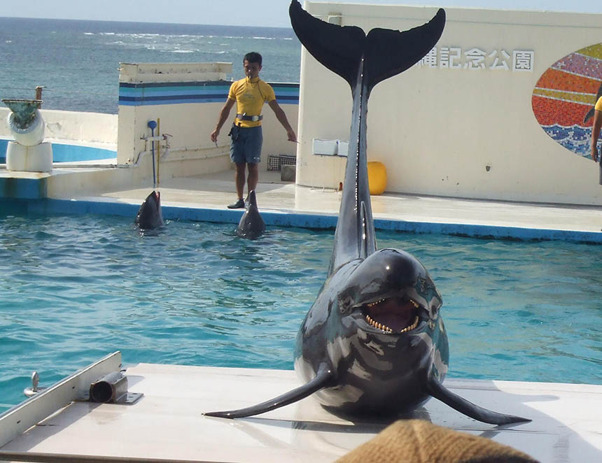 「水の世界は気持ちいいよ♪」　仲間　美友