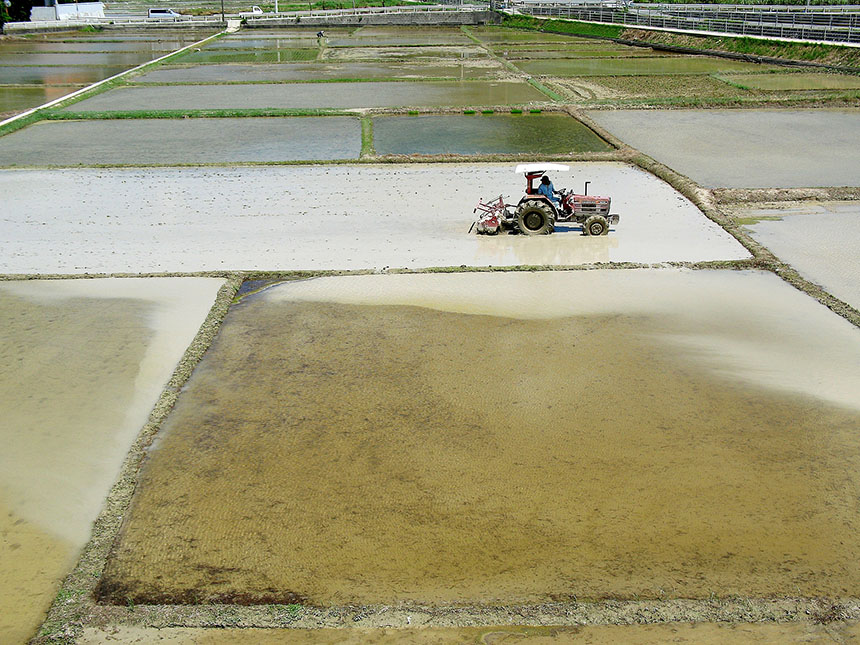 「水の恵み」 伊芸　政秀