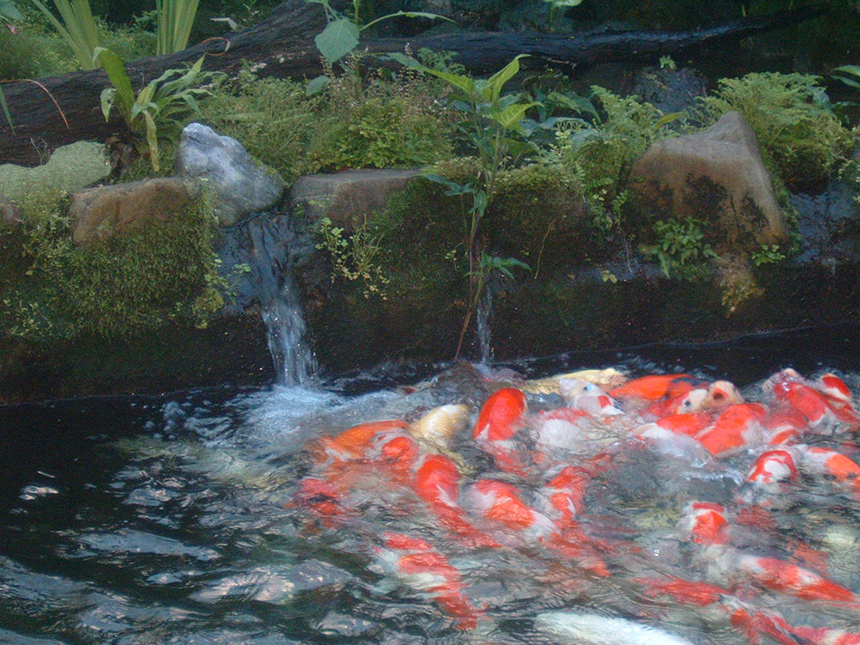 「のどかわいちゃった、水っておいしいね」 仲間　優