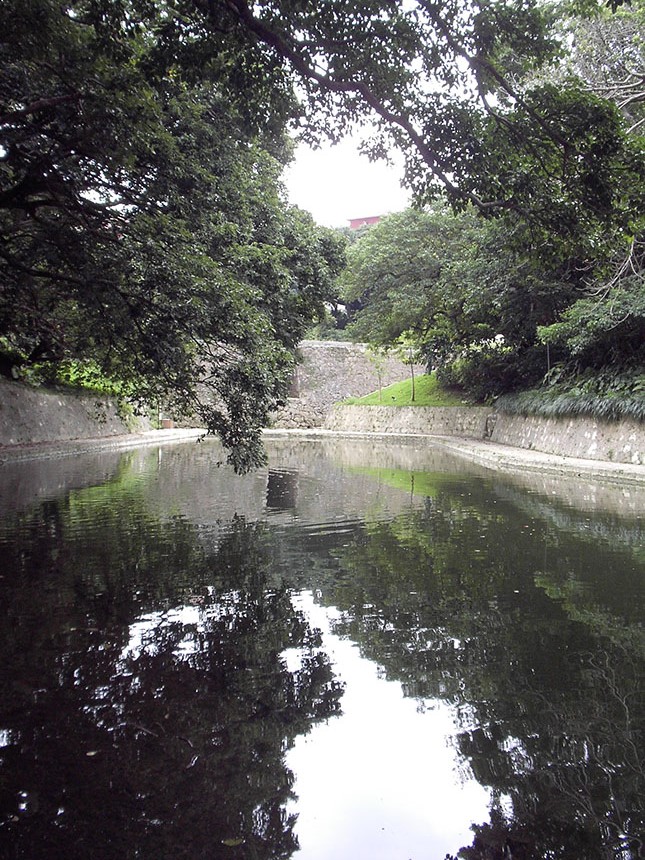 「龍潭池の木漏れ日」宮村　紗季 